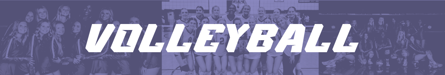 Volleyball Banner